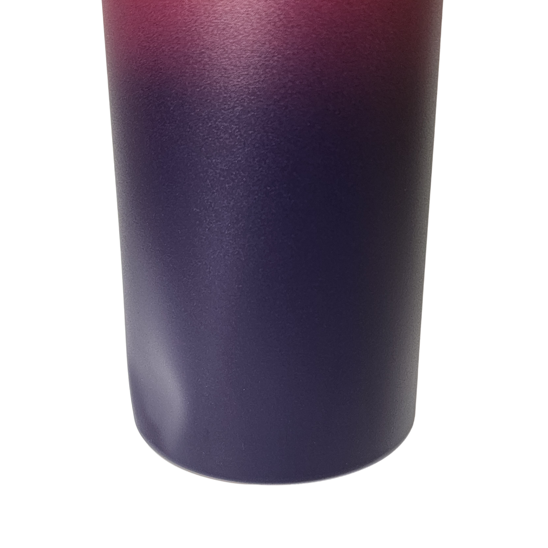 40oz Bottle - Alien Invasion