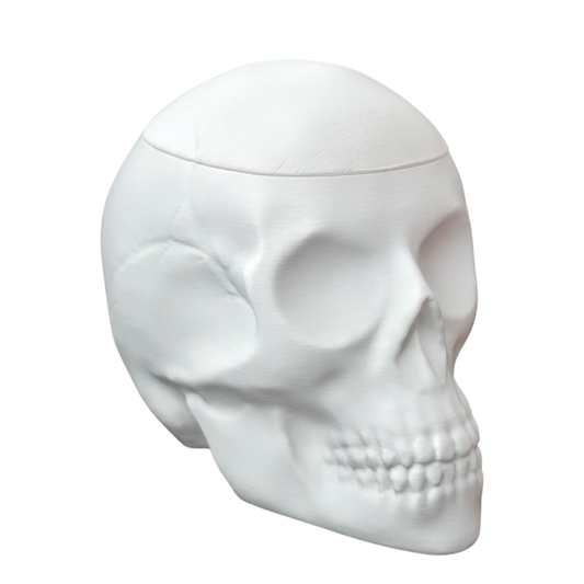 Skull candy dish