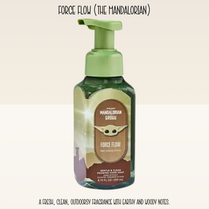 Add-On a Bottle of BBW Foaming Hand Soap