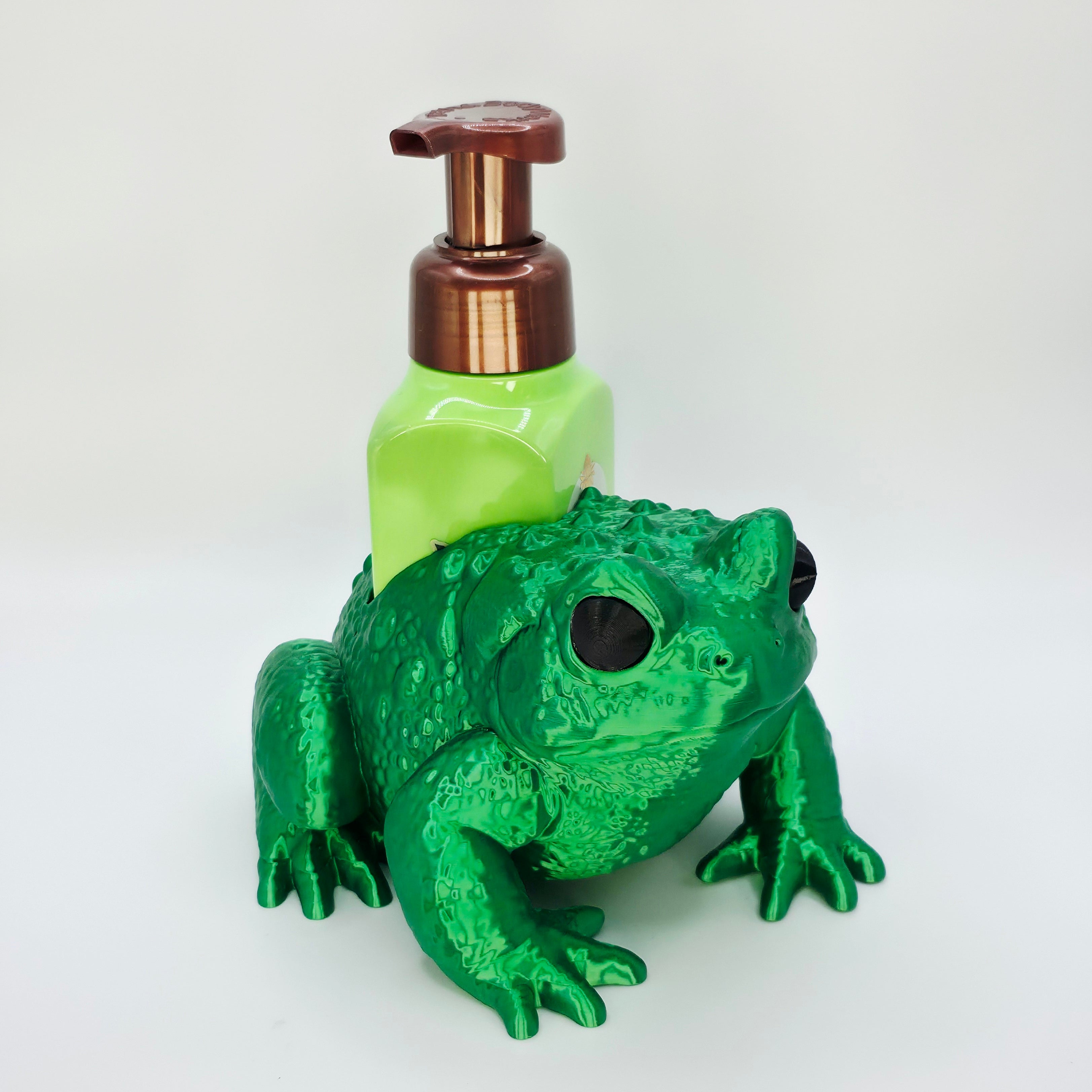 Toad