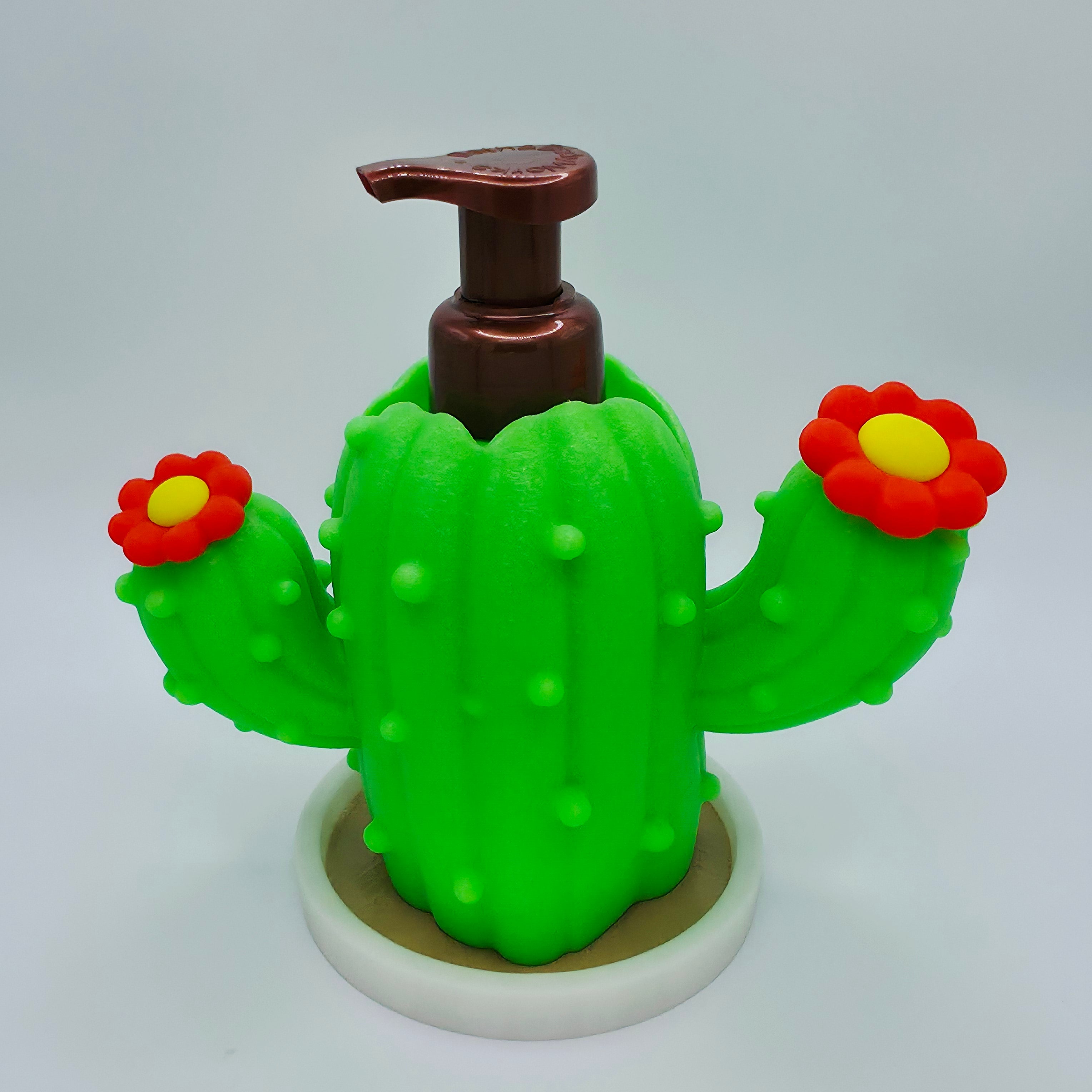 Cactus with Saucer