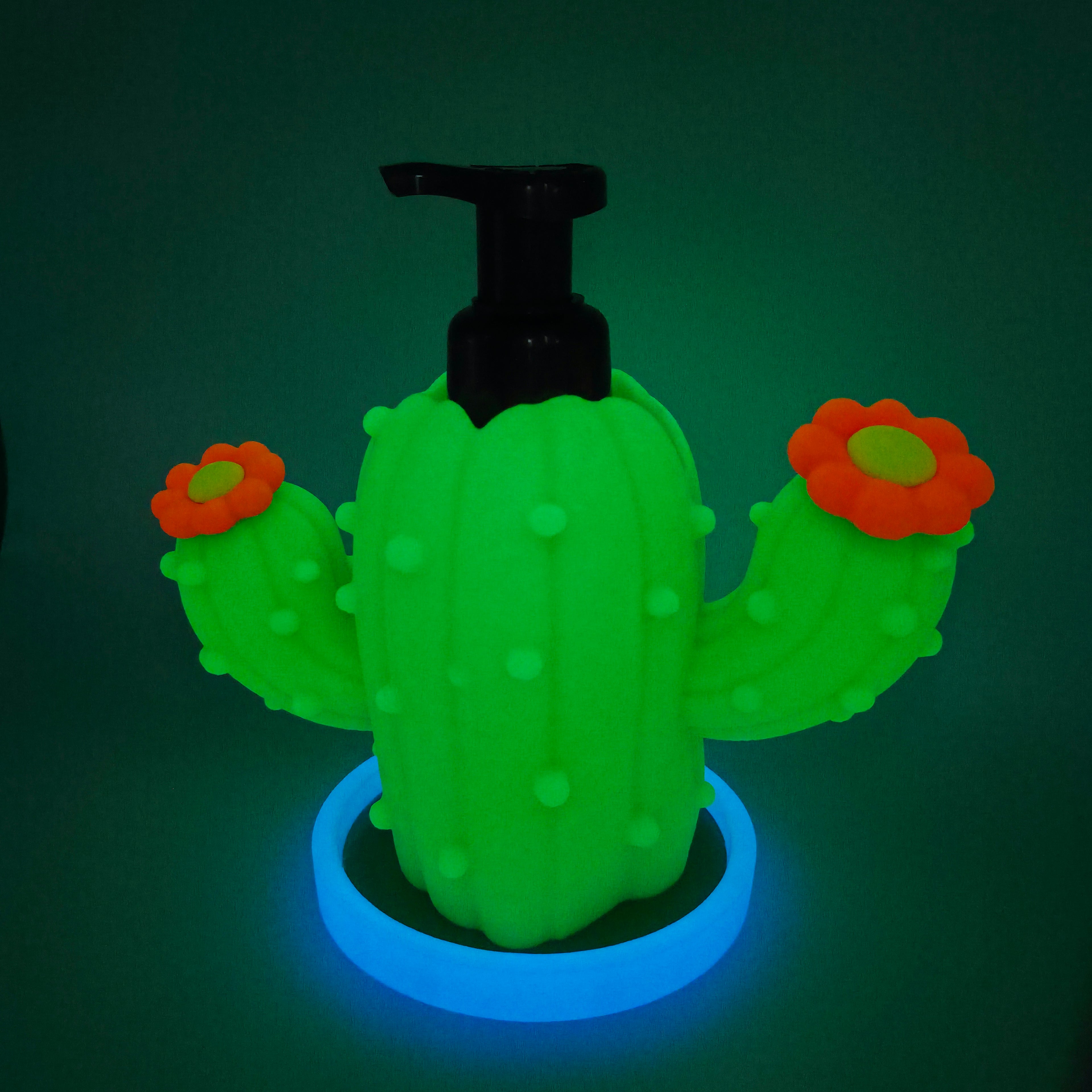 Cactus with Saucer