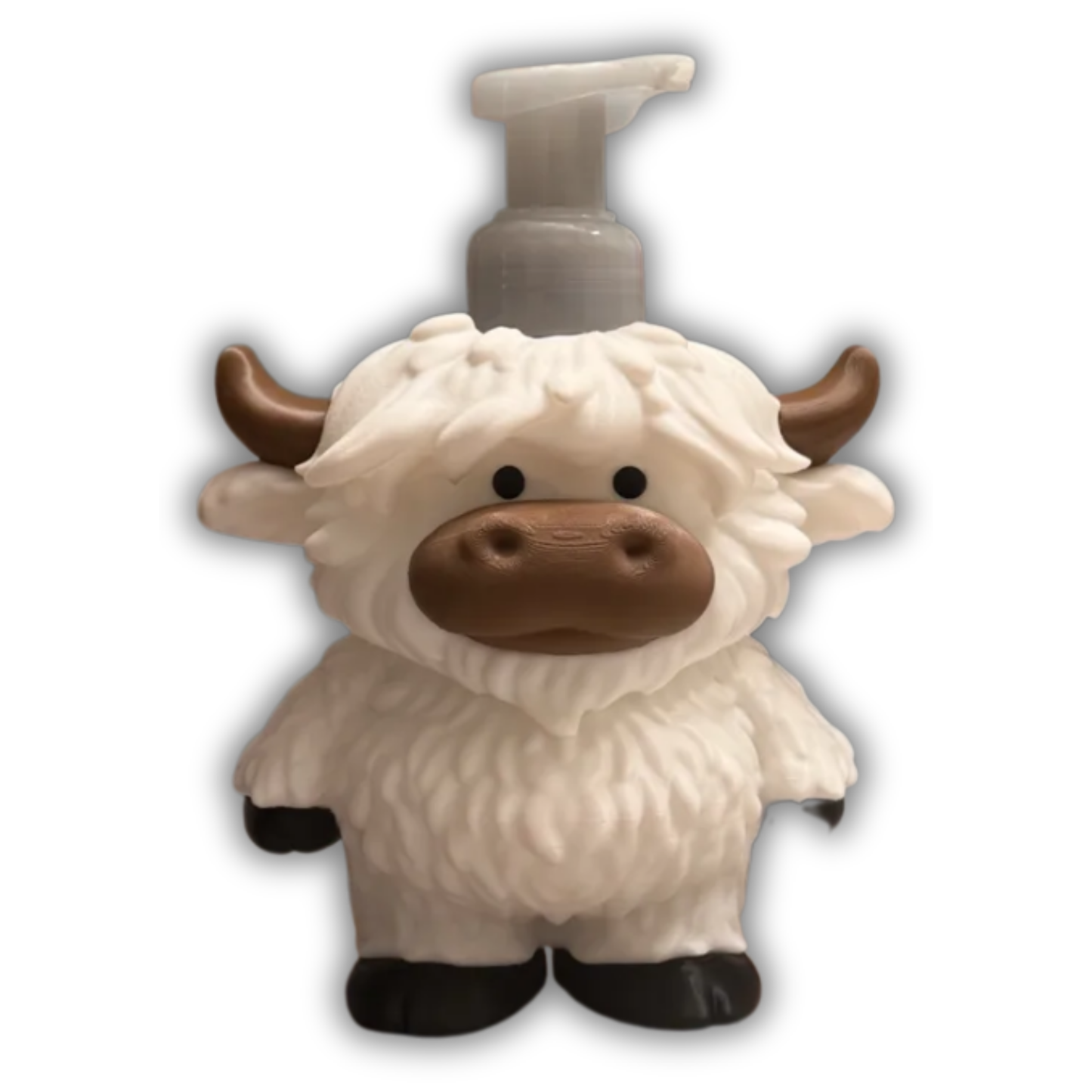 Highland Cow
