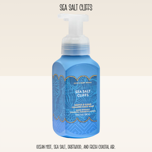 Add-On a Bottle of BBW Foaming Hand Soap