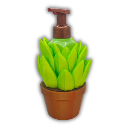 Succulent
