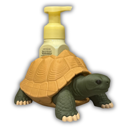 Tortoise