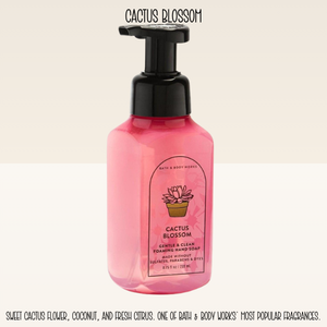 Add-On a Bottle of BBW Foaming Hand Soap